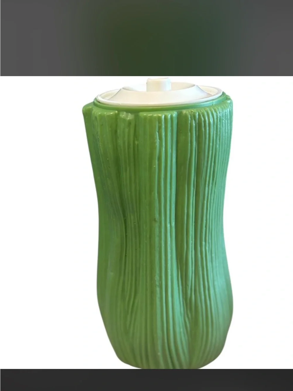 Vintage 1972 sterilite celery crisper veggie shaped container with lid